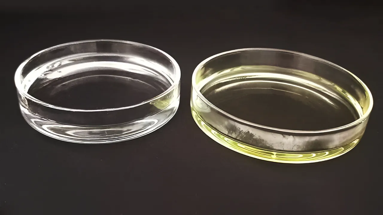 Glass Petri Dish