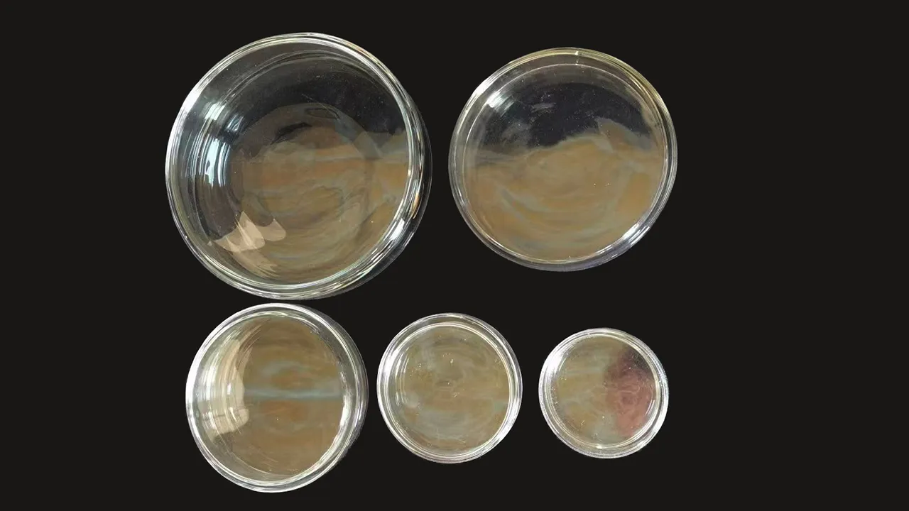 Glass Petri Dish