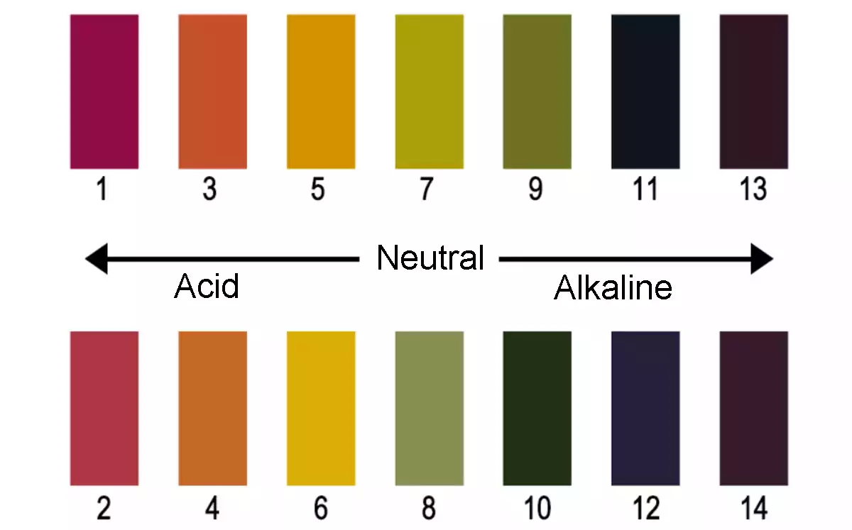 PH test paper