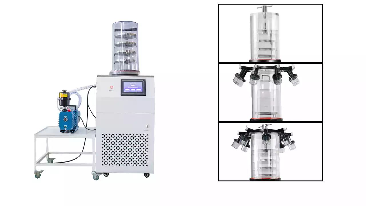 Vertical Vacuum Freeze Dryer for Lab Use