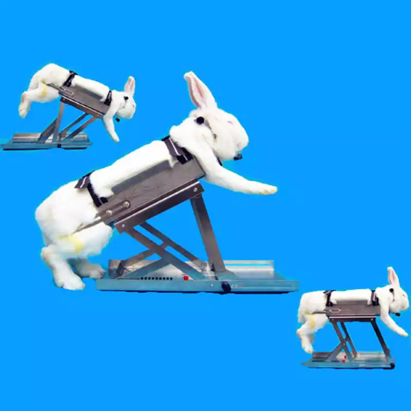 Stainless Steel Multifunctional Rabbit Restrainer Rack